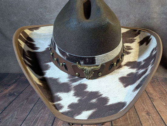 Deputy Dawg Brown Front